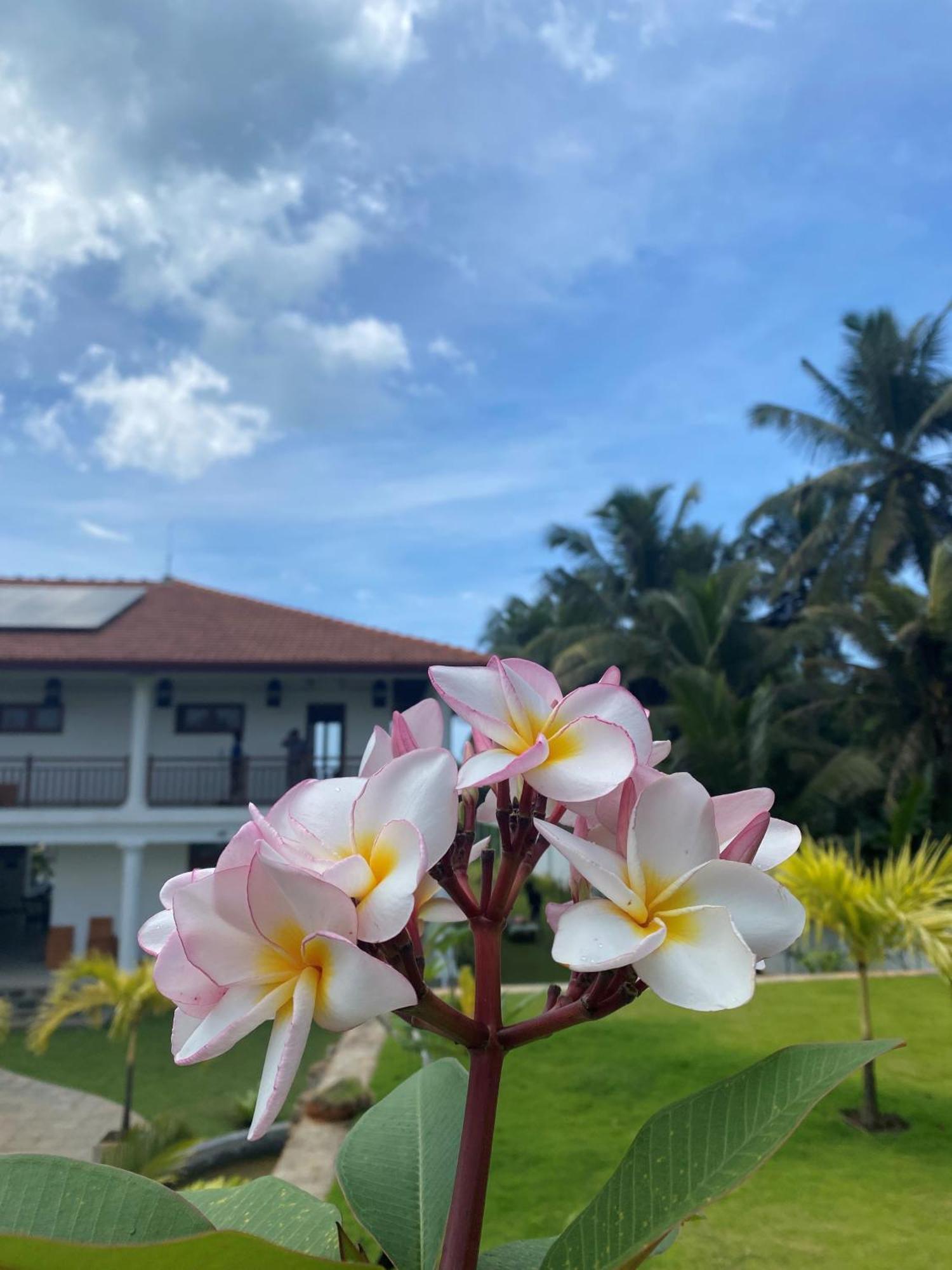 Sea Star Boutique Hotel Hikkaduwa Exterior photo